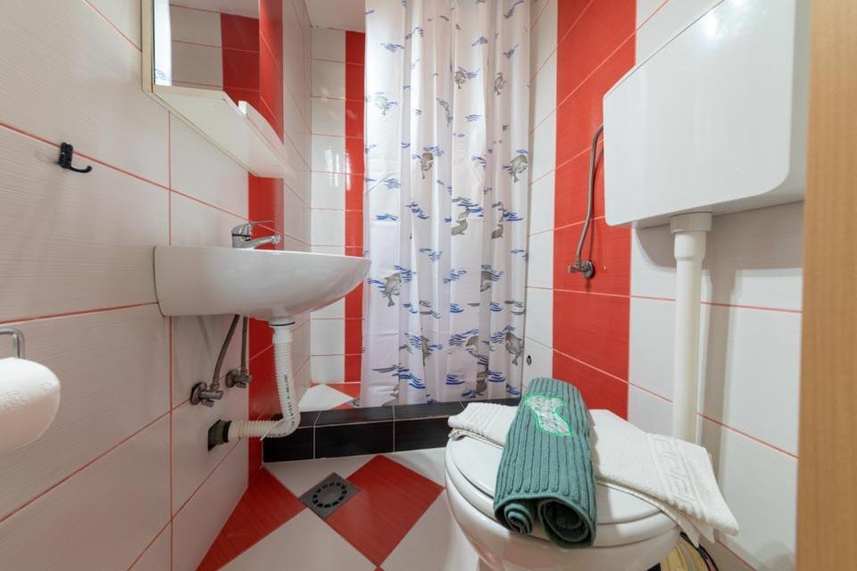 Sunny Grapes Apartments Budva Room photo